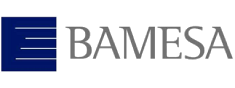 bamesa-logo