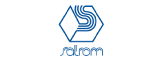 sns-bucuresti-praid-logo