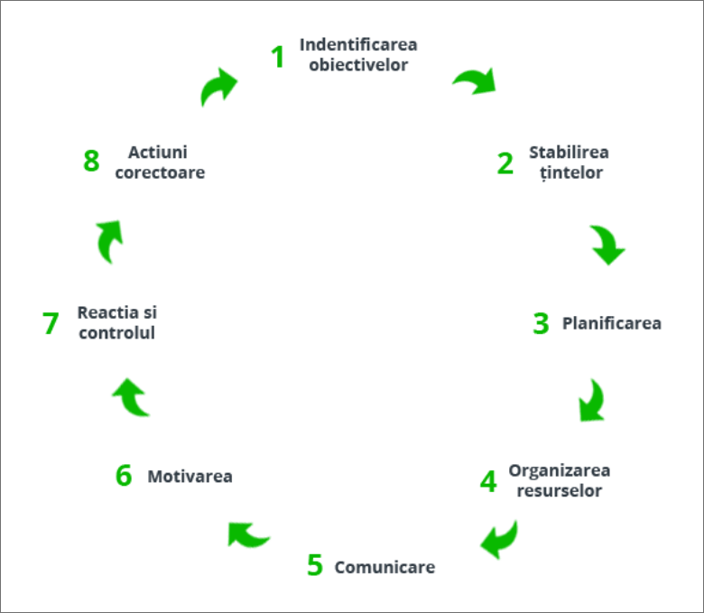 diagrama ciclu managerial