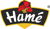 Hame logo